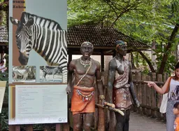 Chiang Mai Zoo