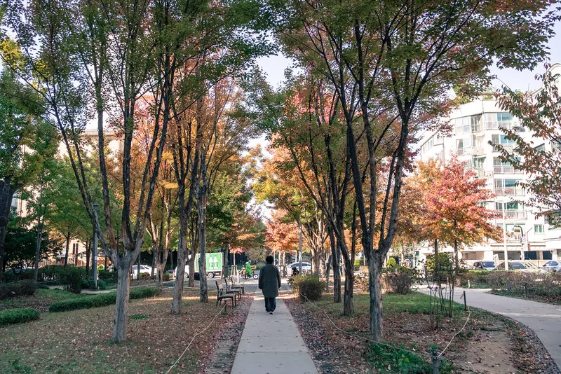Gyeongui Line Forest Park