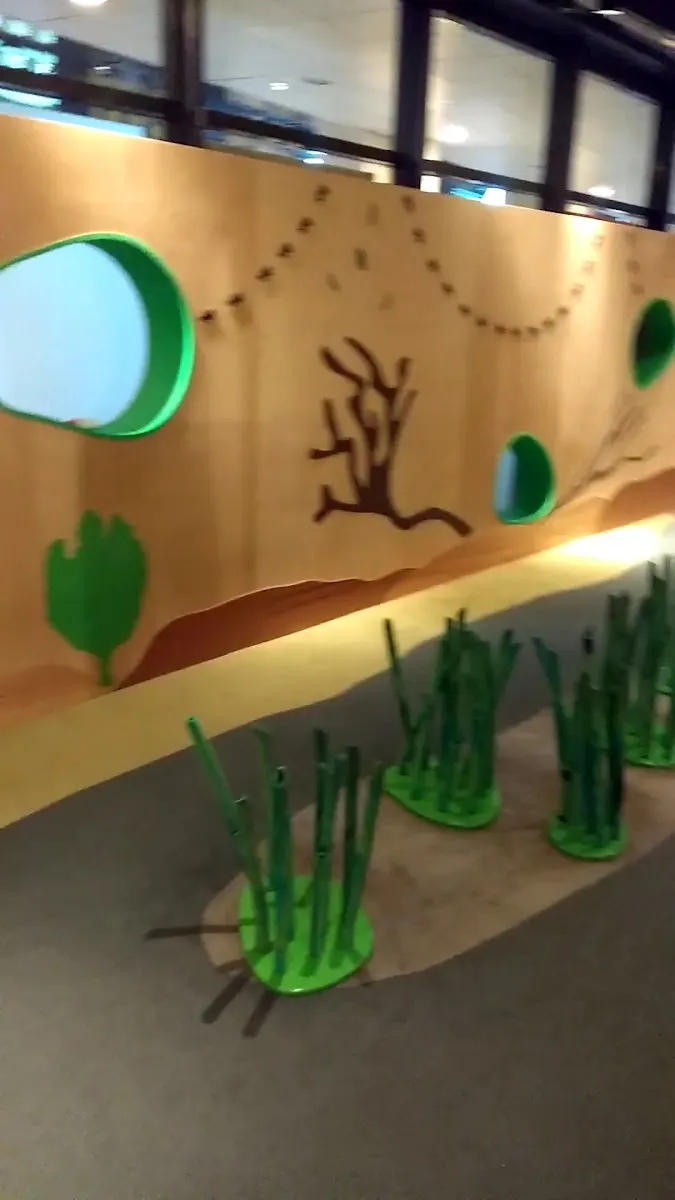 Museo le los Niños Abasto