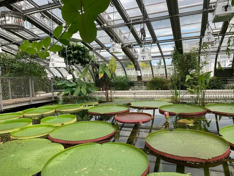 Botanical Garden and Botanical Museum Berlin-Dahlem in Lichterfelde West, Berlin