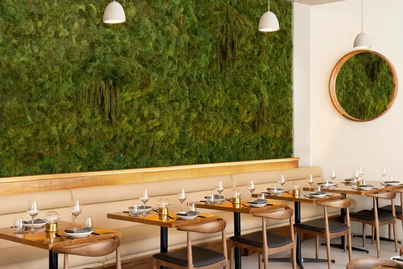 Lindens in SoHo, New York
