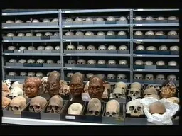 The Room of 10,000 Ancient Skulls