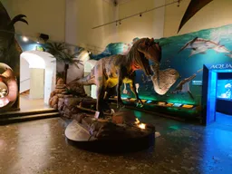 Museum of Natural History
