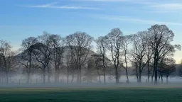 Meadows