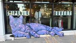 L’Archive Friperie-Boutique