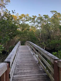 Enchanted Forest Park