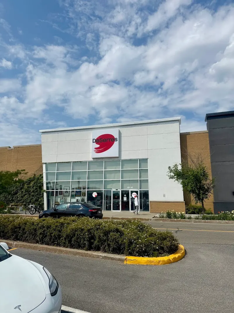 DeSerres Marché Central in Ahuntsic, Montreal