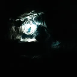 Meow Wolf