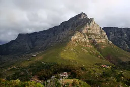 Lion's Head