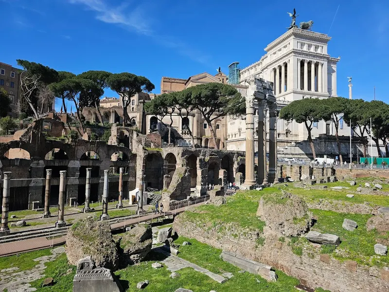 Roman Forum & Palatine Hill in Rome