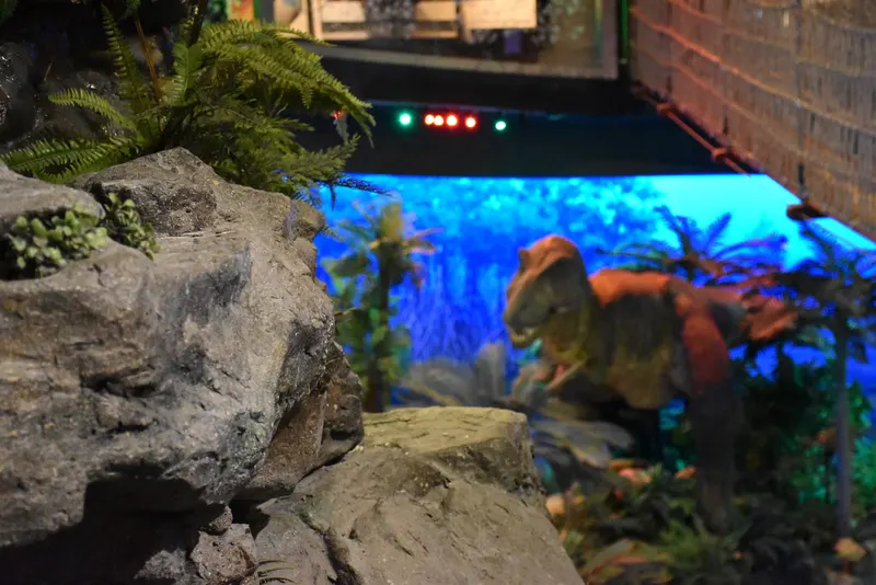 Petrosains
