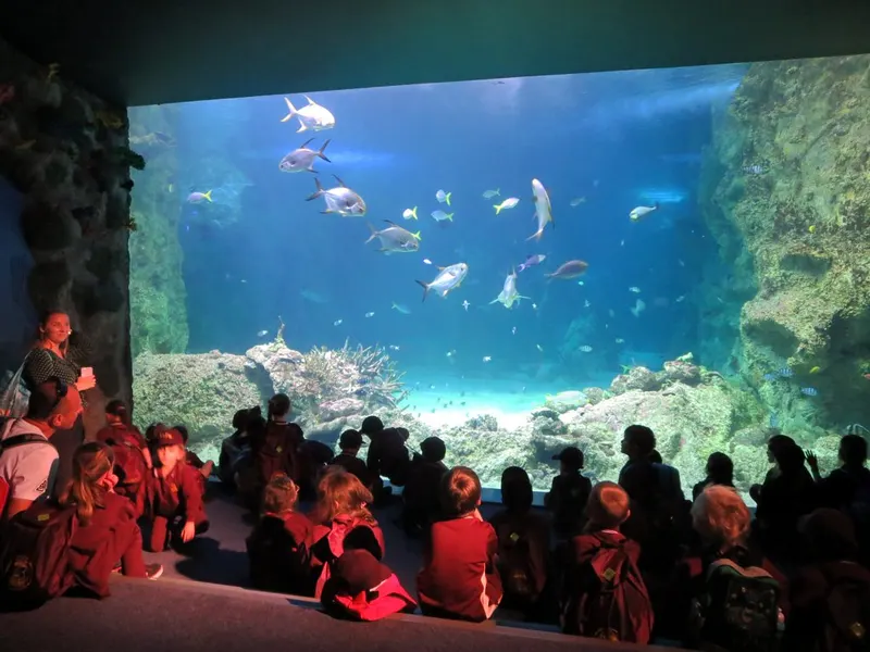 SEA LIFE Sydney Aquarium