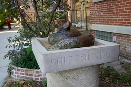 Shit Fountain