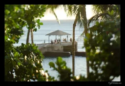 Tiki's Grill & Bar