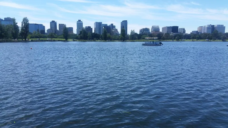 Albert Park Lake