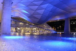 Musée des Confluences