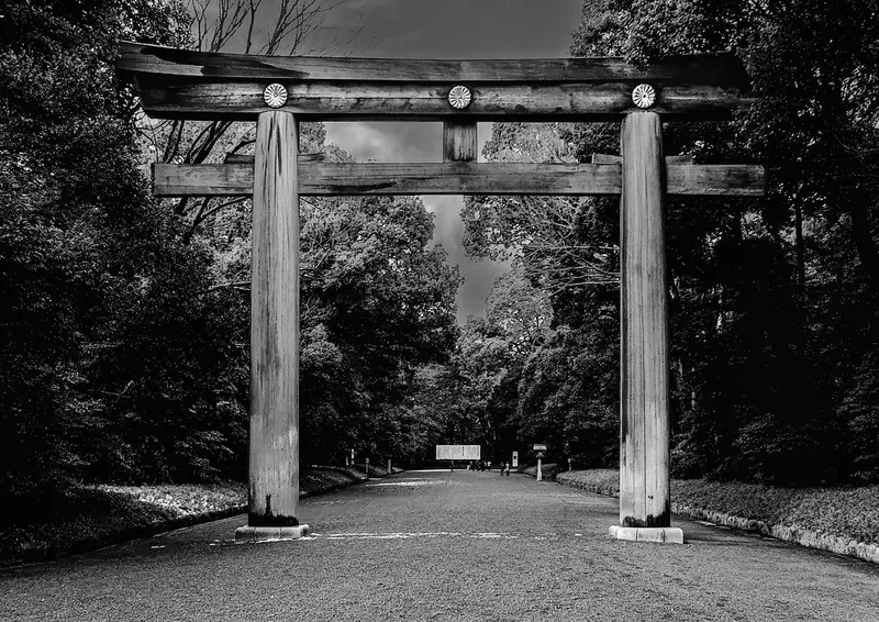 Yoyogi Park in Yoyogi, Tokyo