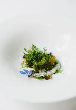 Glam Enrico Bartolini
