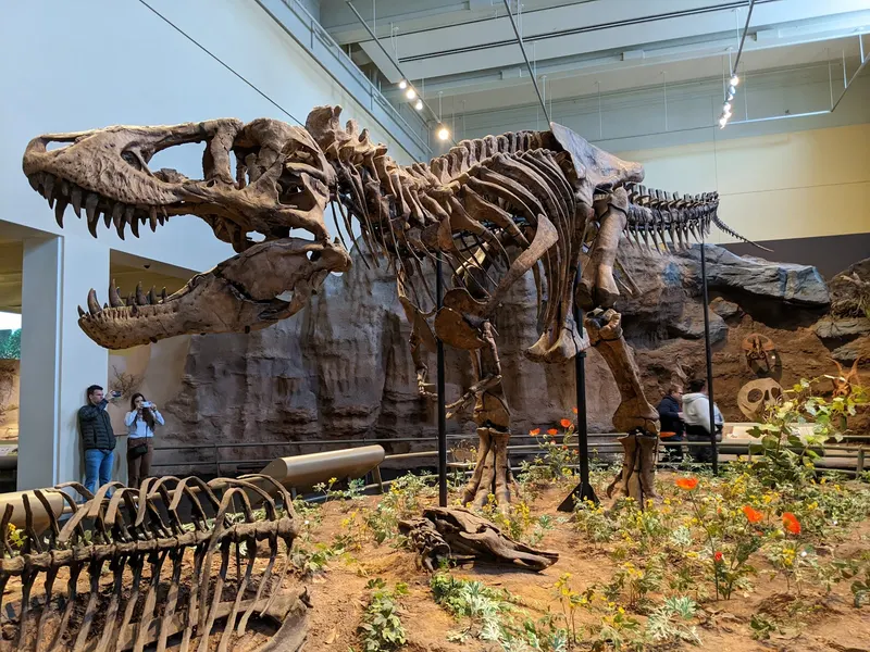 Carnegie Museums of Art and Natural History in North Oakland, Pittsburgh
