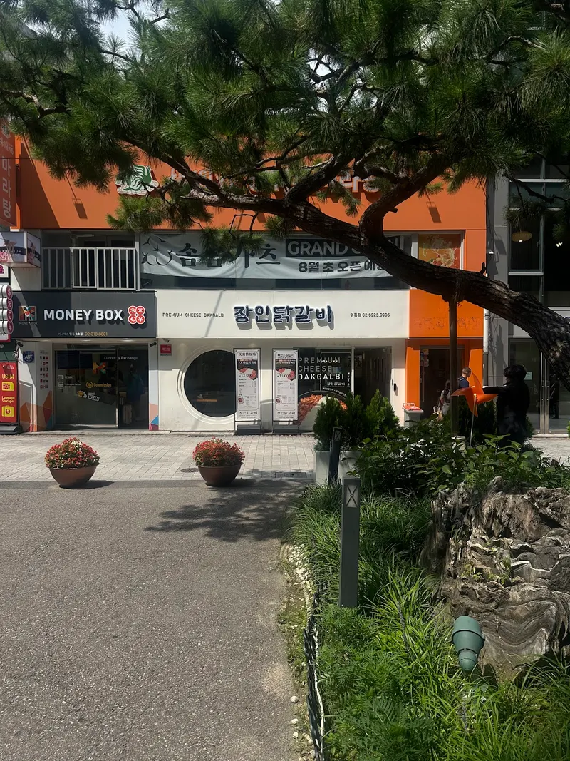 Premium Jangin Dakalbi in Myeong-dong 1(il)-ga, Seoul