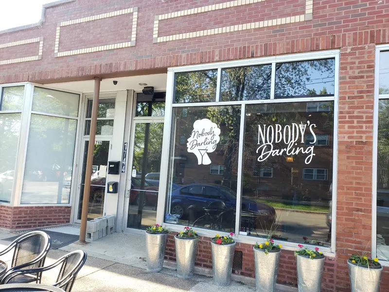 Nobody's Darling in Andersonville, Chicago