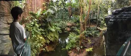 Montreal Biodome
