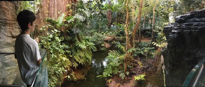 Montreal Biodome