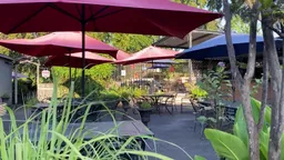 McGonigel's Mucky Duck