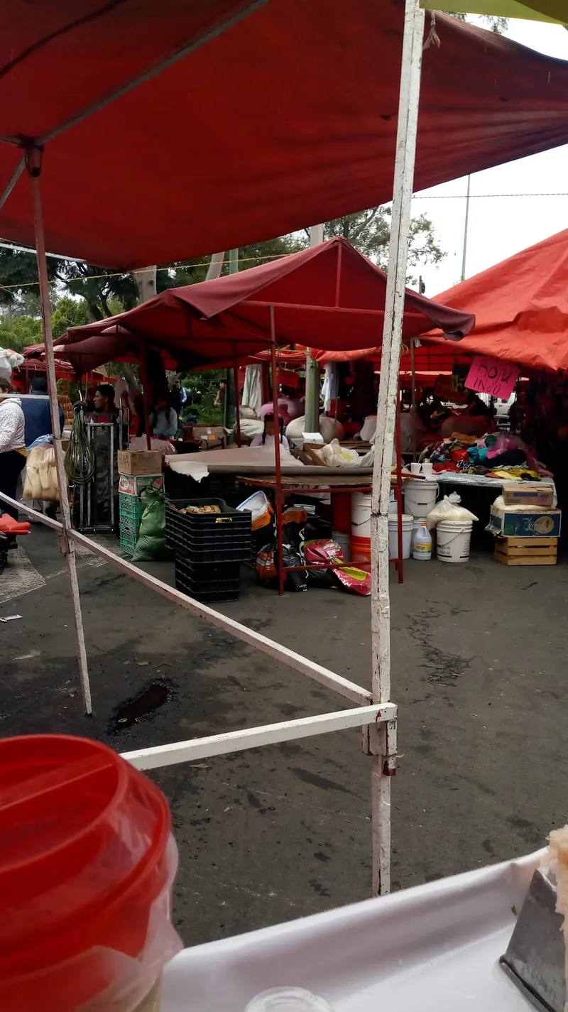 Tianguis del Imán in Tlalpan, Mexico City