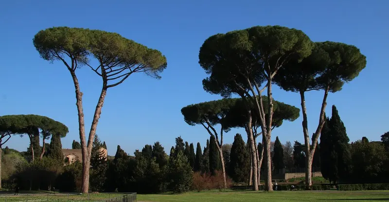 Baths of Caracalla in San Saba, Rome