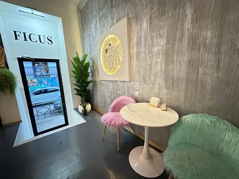 Ficus Bar in Kveda Chugureti, Tbilisi