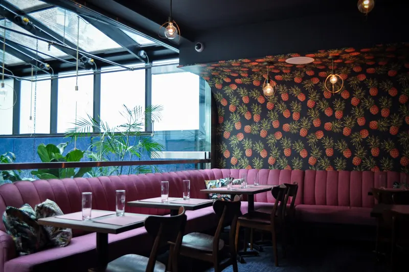 Pineapple Club in Alphabet City, New York