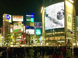 Shibuya Crossing