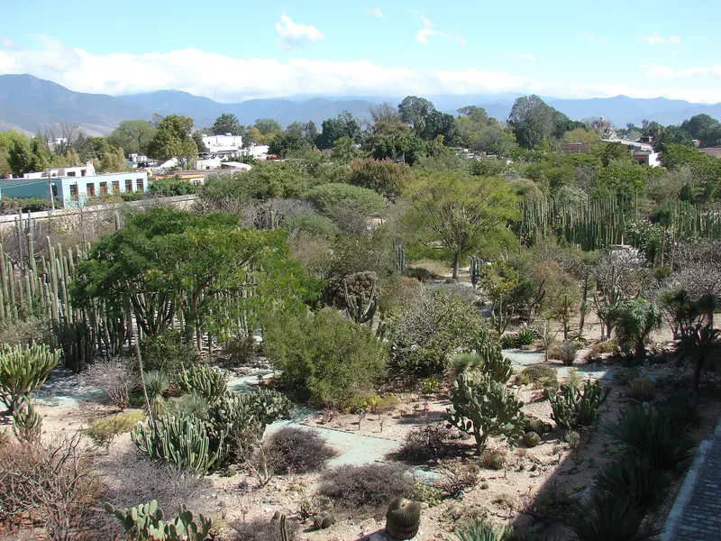 Jardín Etnobotánico in Oaxaca Centro, Oaxaca