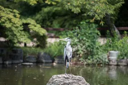 Maruyama Park