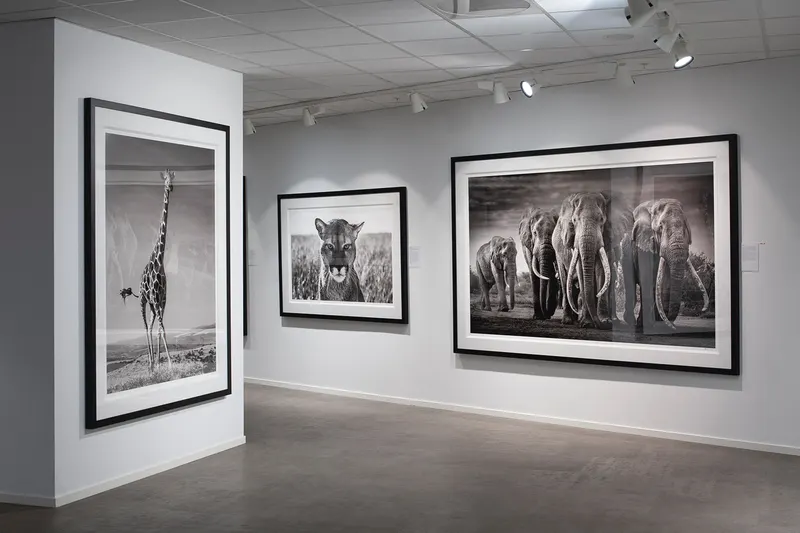 Fineart Oslo