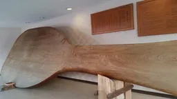 World's largest rice scoop
