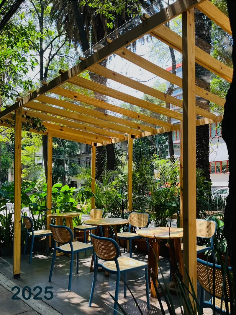 Café Tierra Azul in Colonia Condesa, Mexico City