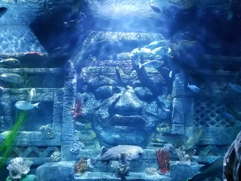 Downtown Aquarium in Riverview, Houston