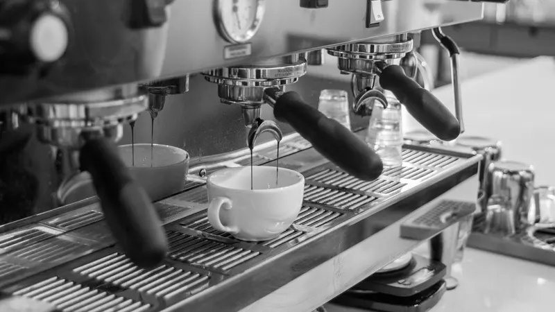 Monk & Mongoose Coffee Co in Park Meadows, Denver