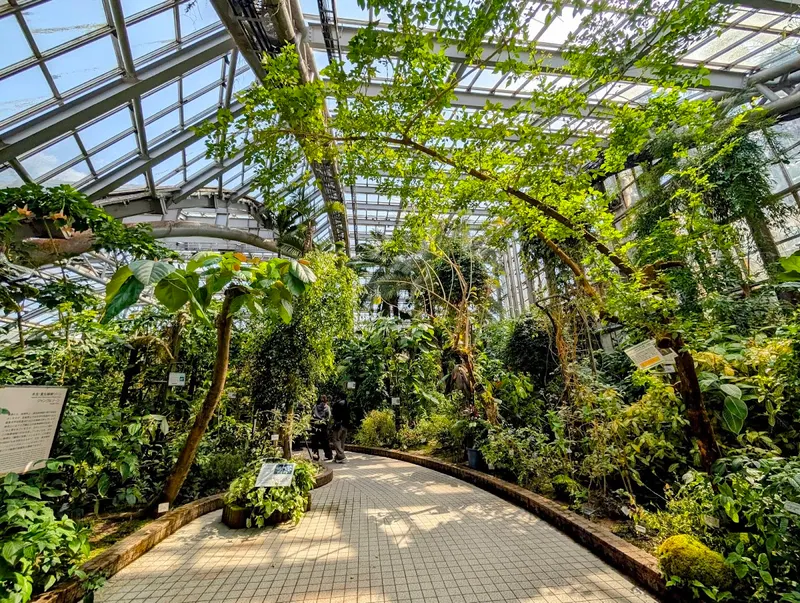 Kyoto Botanical Garden