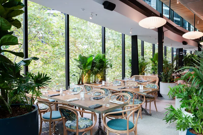 Green Moustache Rooftop Garden Bar & Restaurant in Lavender Bay, Sydney