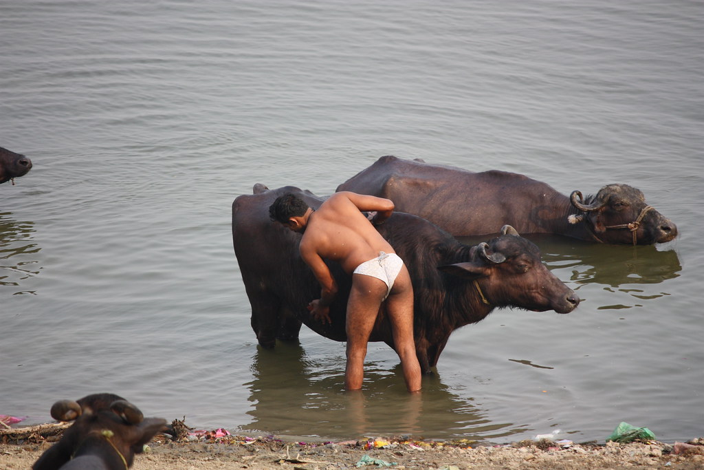Dasaswamedh in Varanasi
