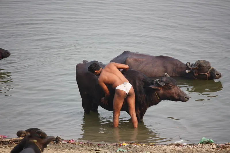 Manikarnika Ghat