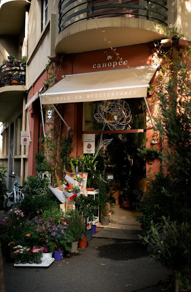 Canopée Vauban - Jardinerie et fleuriste Marseille