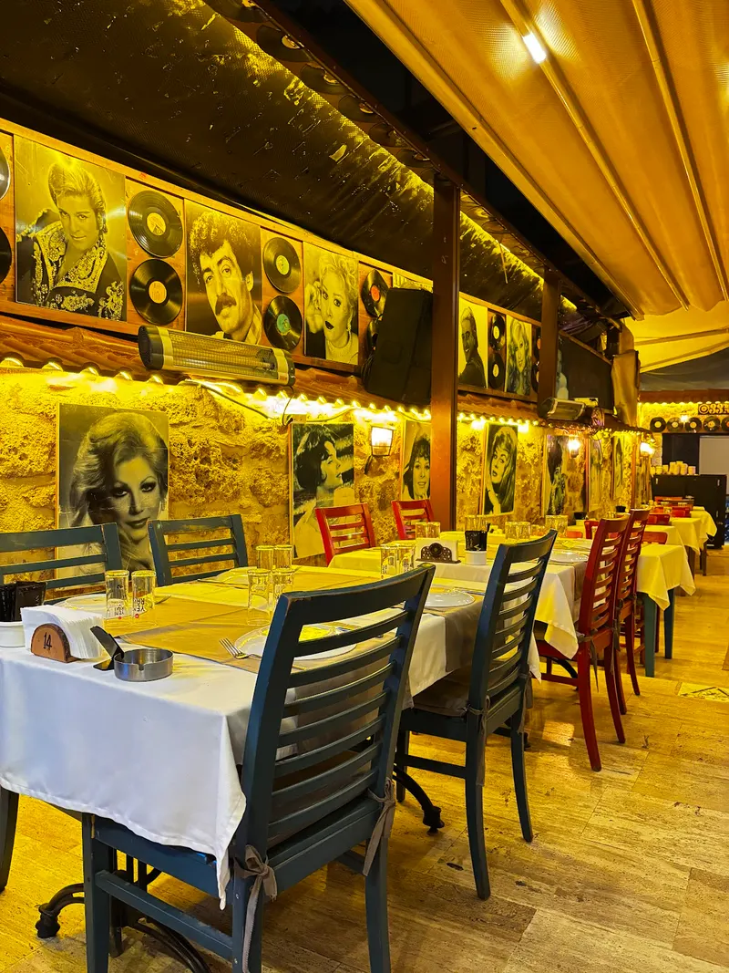 Kaleiçi Meyhane 33'lük Plaklı in Kılınçarslan, Antalya