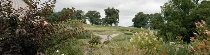 Blue Hill