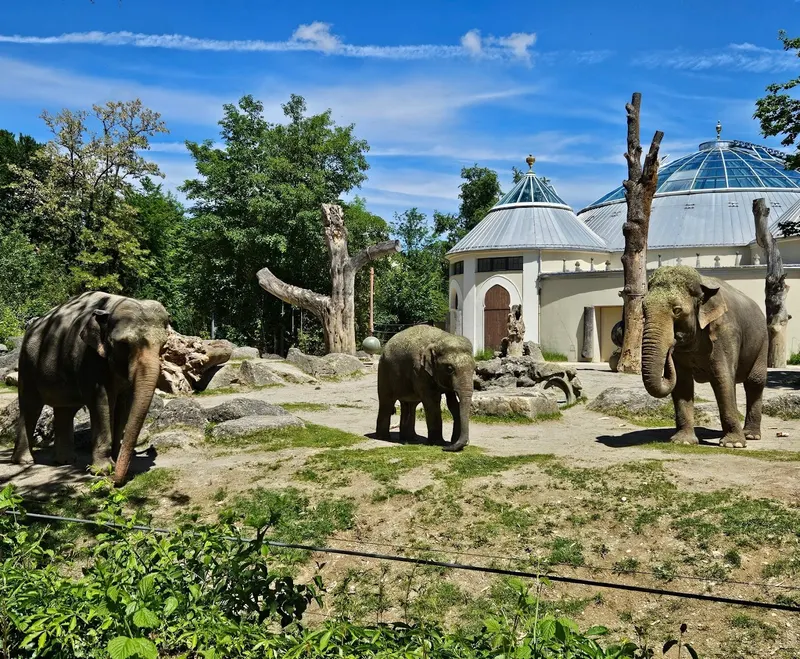 Hellabrunn Zoo in Untergiesing-Harlaching, Munich