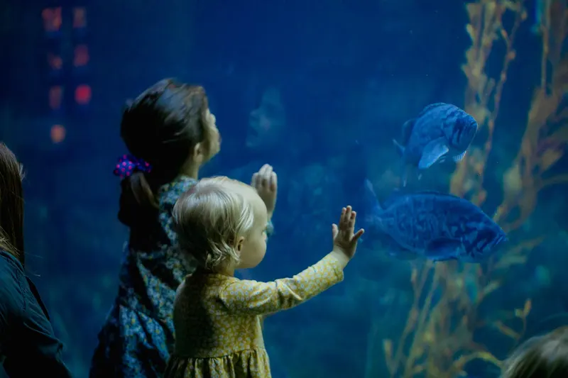 Birch Aquarium at Scripps