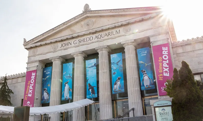 John G. Shedd Aquarium in Near South Side, Chicago